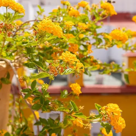 Apartment Ohliving Cathedral View Seville