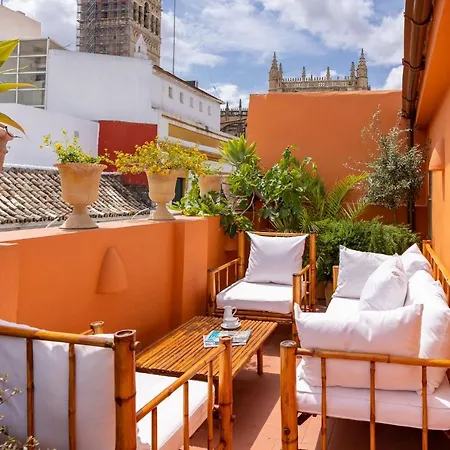 Ohliving Cathedral View